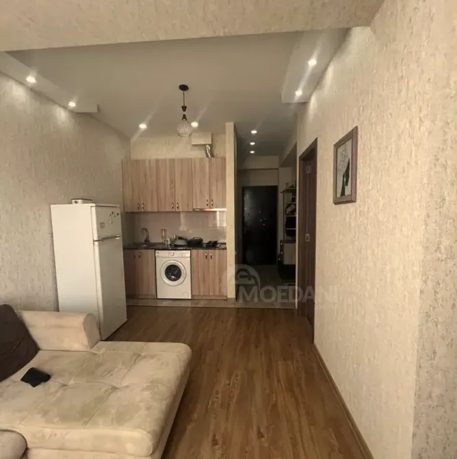 Apartments For Rent two-room 43м² 5/10 floor Tbilisi - photo 2