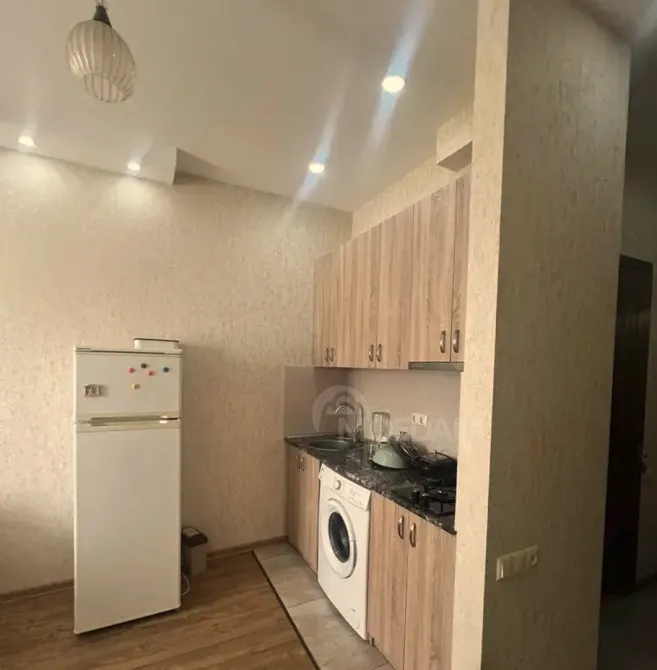 Apartments For Rent two-room 43м² 5/10 floor Tbilisi - photo 3