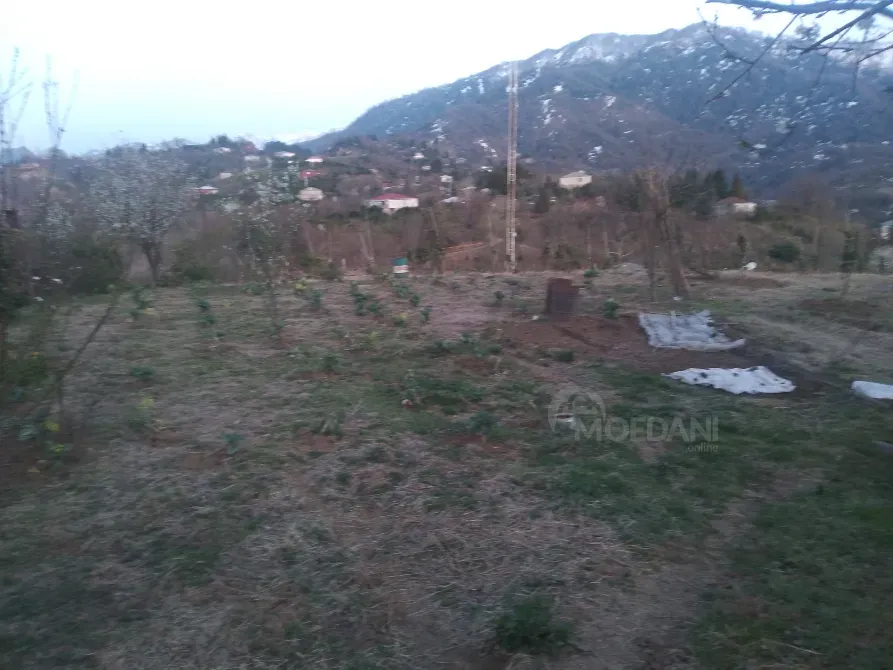 Продам земельный участок 5500м² Kobuleti - photo 3