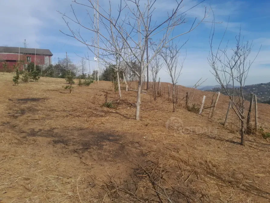 Продам земельный участок 5500м² Kobuleti - photo 1