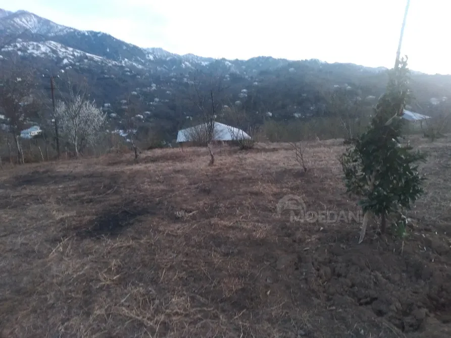 Продам земельный участок 5500м² Kobuleti - photo 5