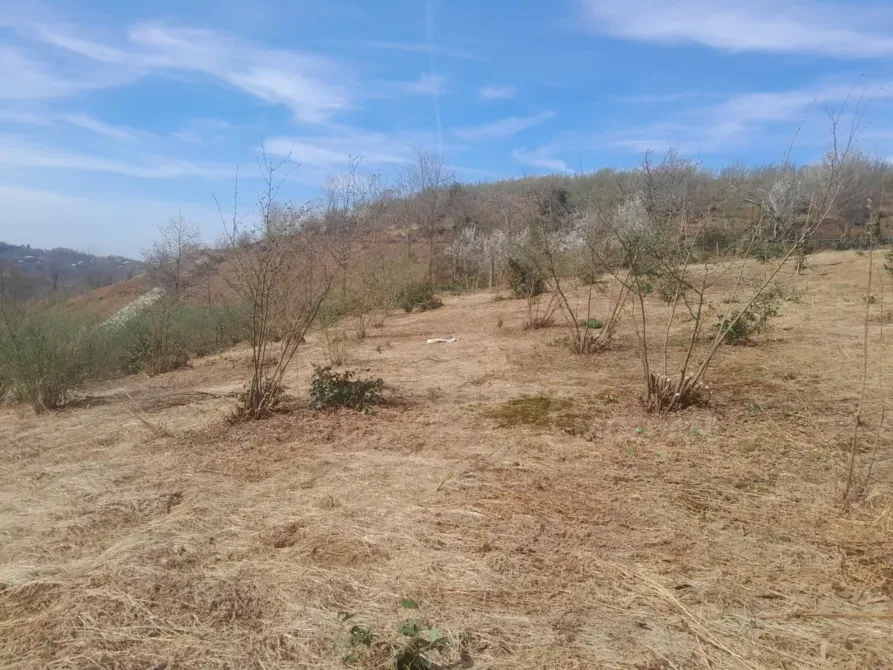 Продам земельный участок 5500м² Kobuleti - photo 2