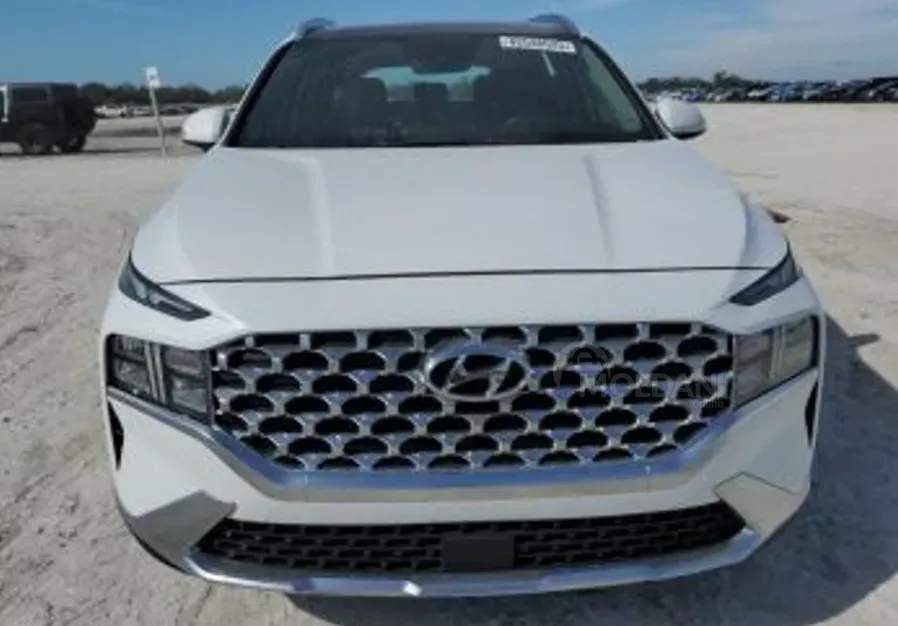 Hyundai Santa Fe 2021 თბილისი - photo 1