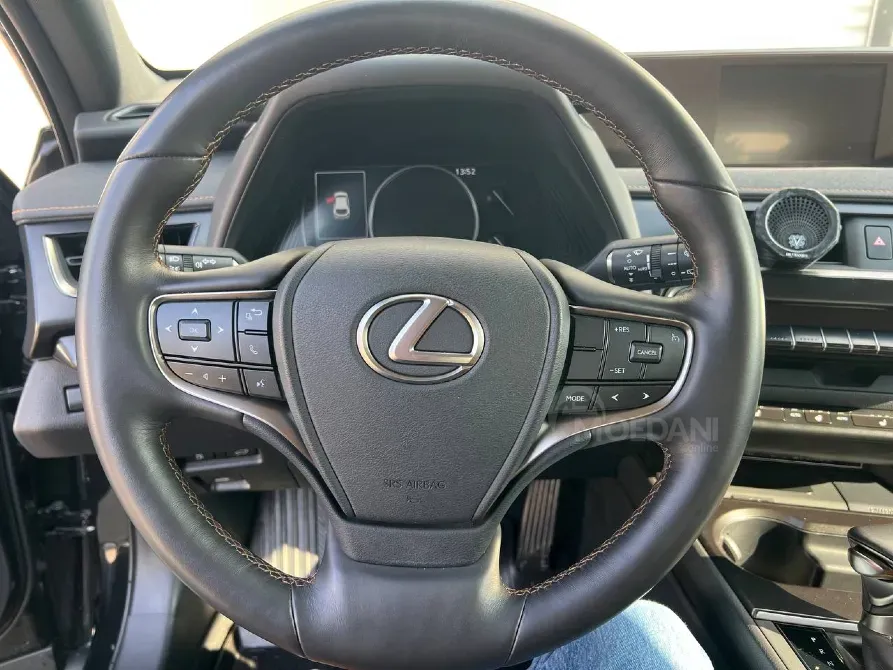 Lexus UX 2022 რუსთავი - photo 8