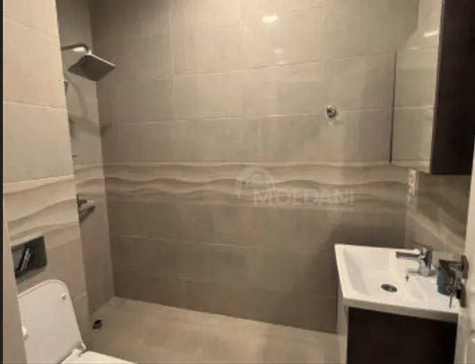 Apartments For Rent three-room 137м² 7/12 floor Tbilisi - photo 6