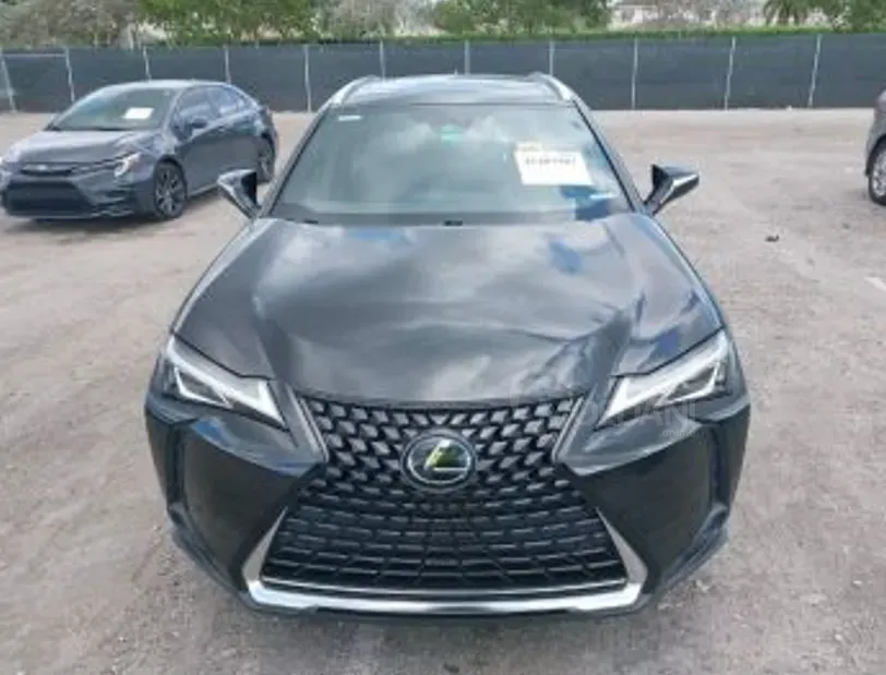 Lexus UX 2019 თბილისი - photo 1