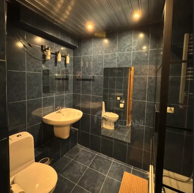 Apartments For Rent two-room 70м² 7/8 floor Tbilisi - photo 12
