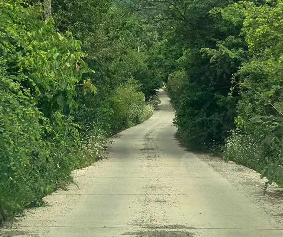 იყიდება მიწის ნაკვეთი 600м² მცხეთა - photo 5