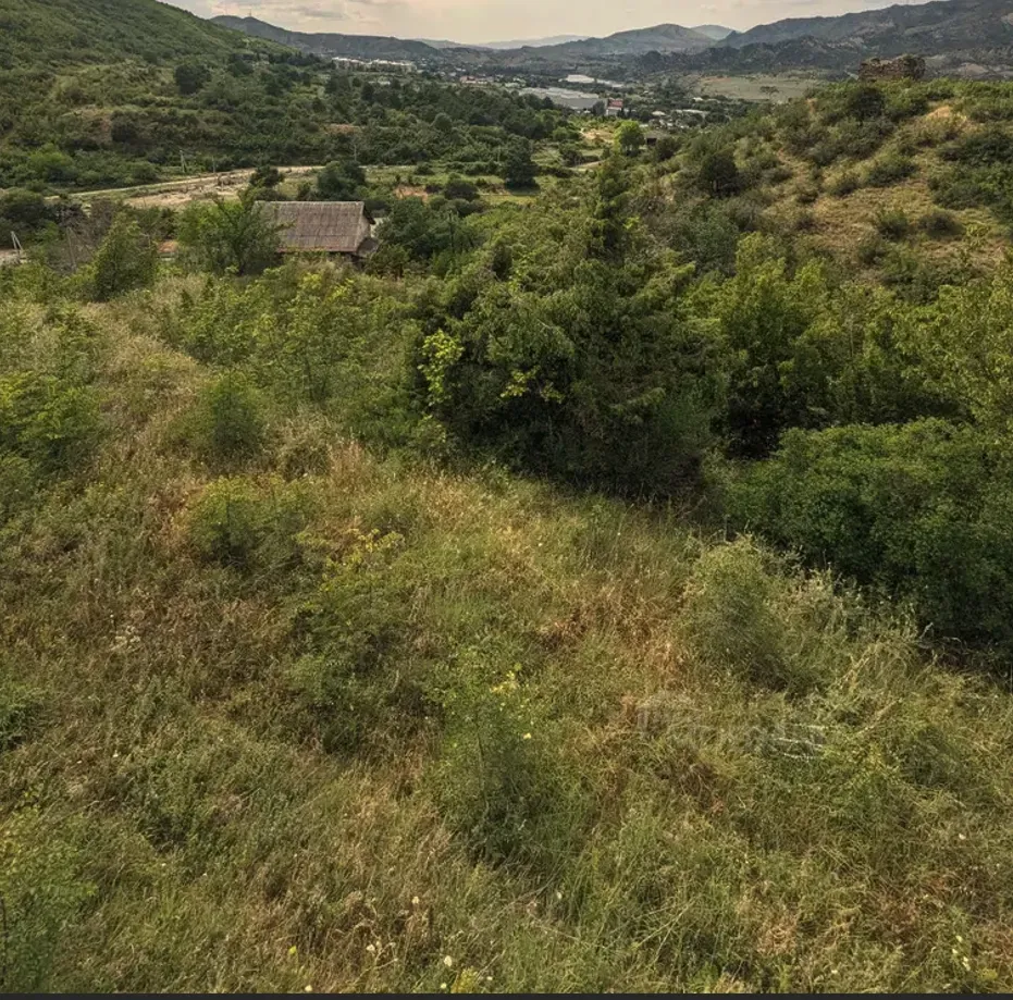 იყიდება მიწის ნაკვეთი 600м² მცხეთა - photo 8