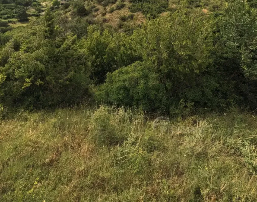 იყიდება მიწის ნაკვეთი 600м² მცხეთა - photo 6