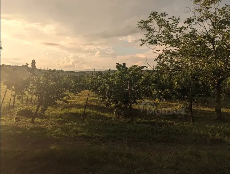 Продам земельный участок 2100м² Зестафони - изображение 4