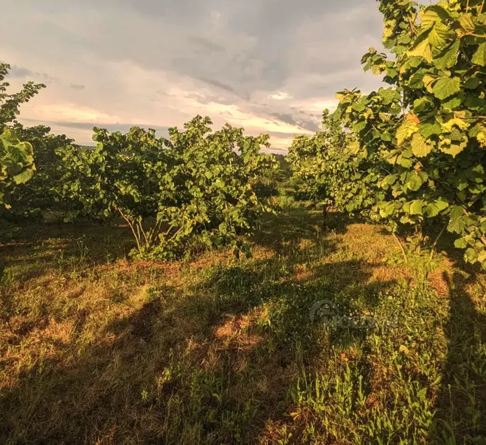 Продам земельный участок 2100м² Зестафони - изображение 1