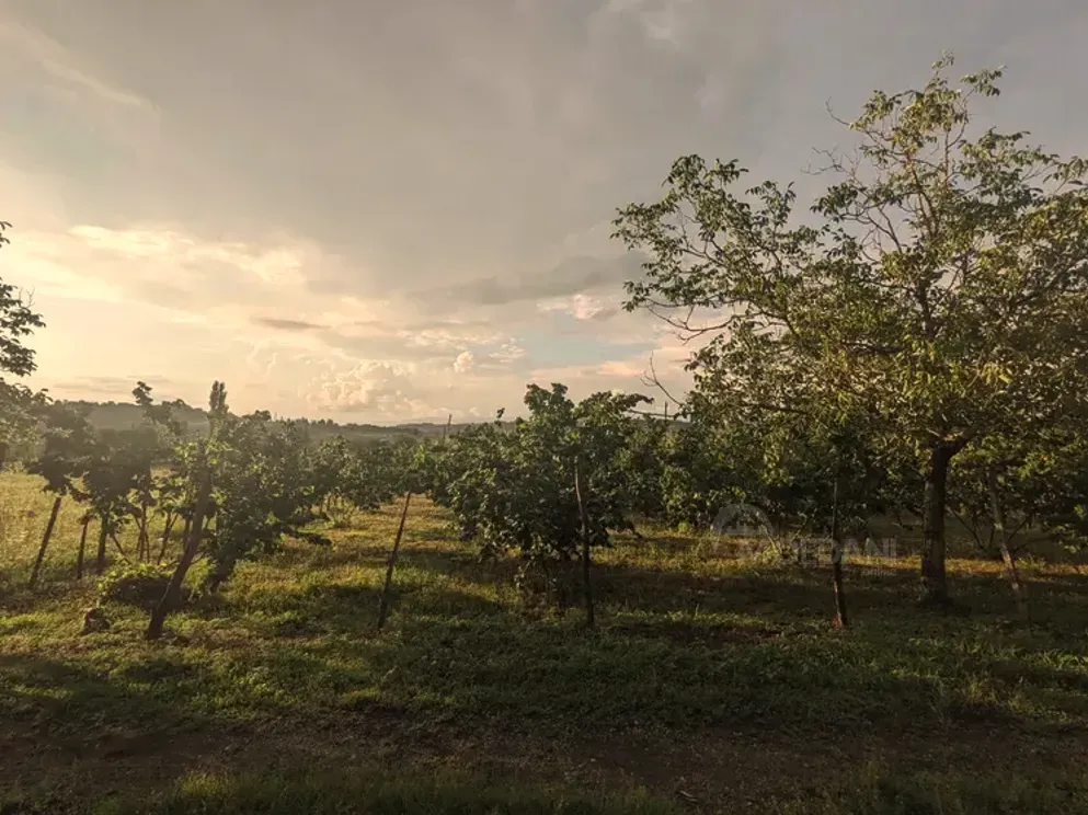 Продам земельный участок 2100м² Зестафони - изображение 9