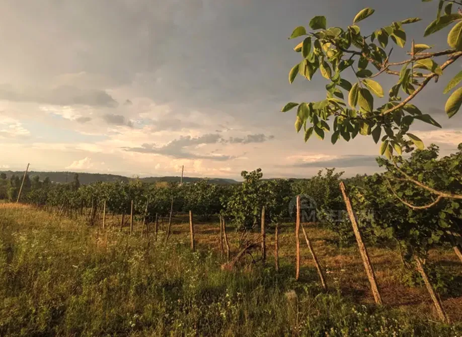 Продам земельный участок 2100м² Зестафони - изображение 7