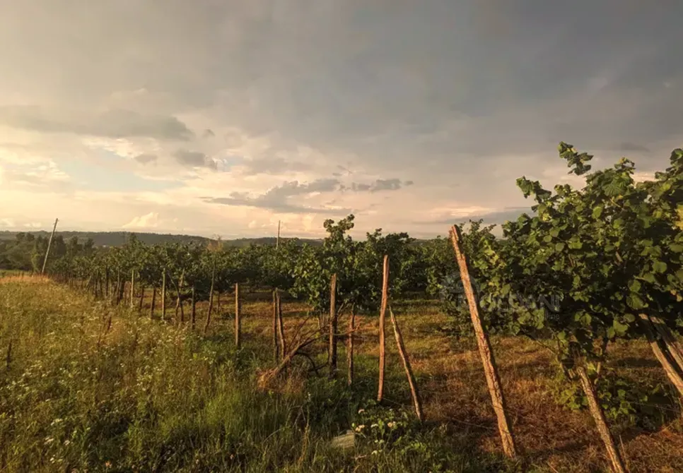 Продам земельный участок 2100м² Зестафони - изображение 12