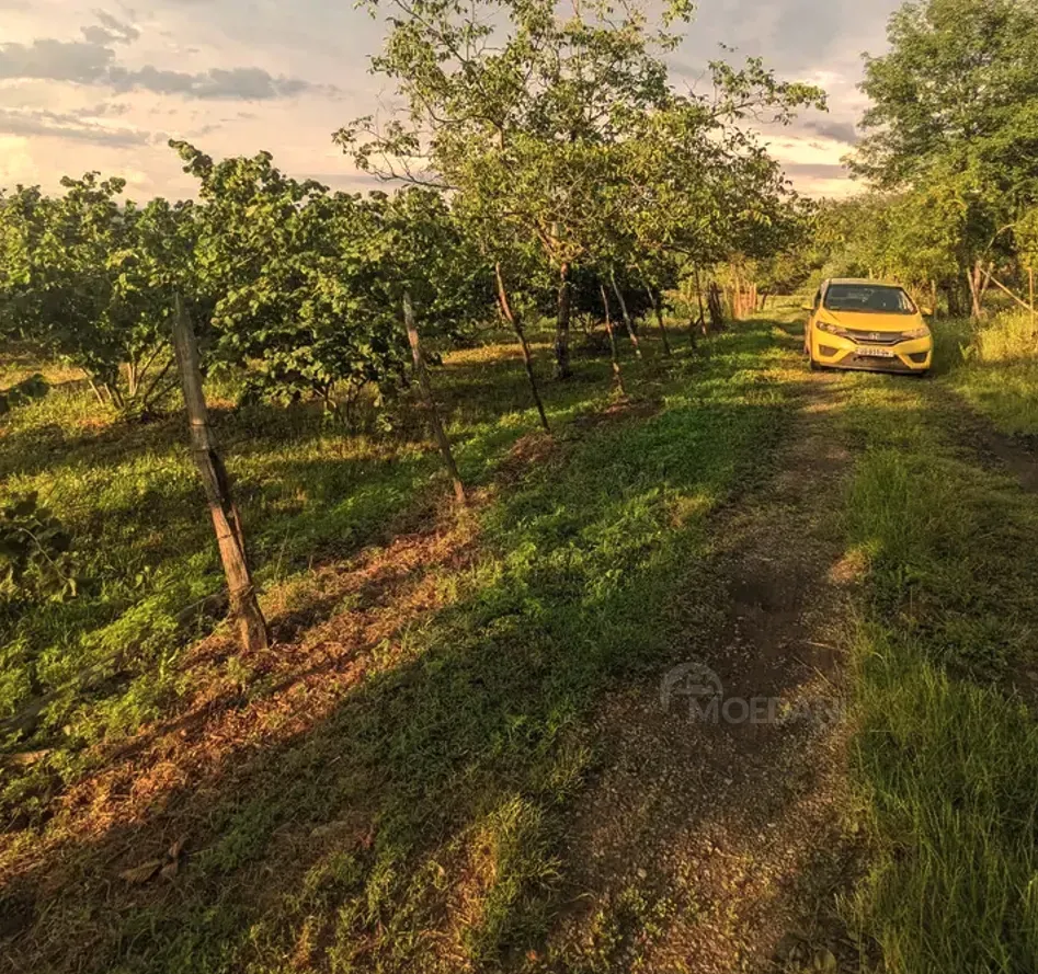 Продам земельный участок 2100м² Зестафони - изображение 5