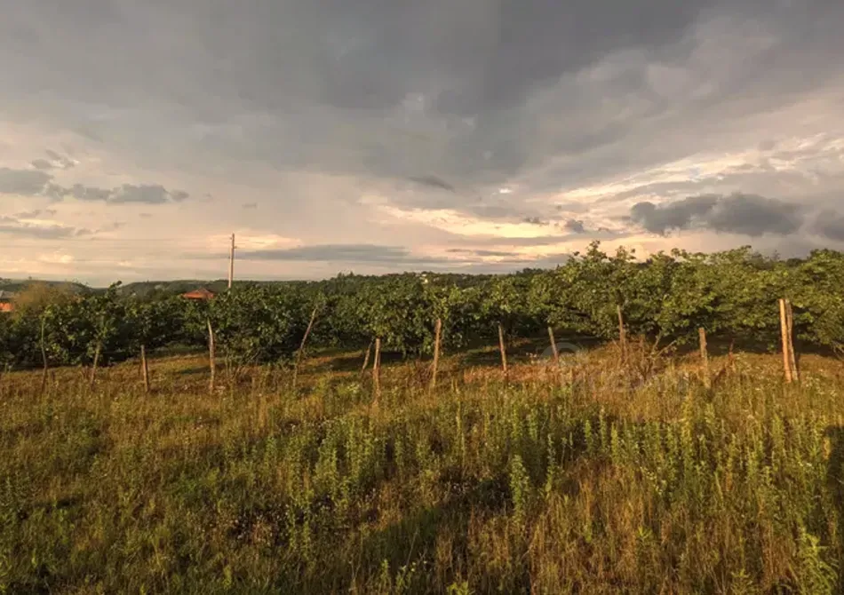 Продам земельный участок 2100м² Зестафони - изображение 8