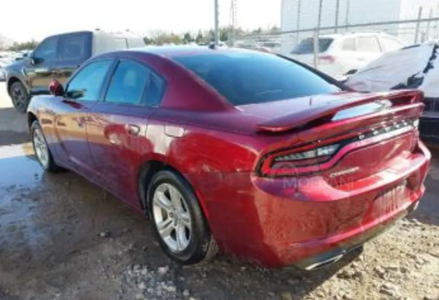 Dodge Charger 2020 Тбилиси - изображение 3