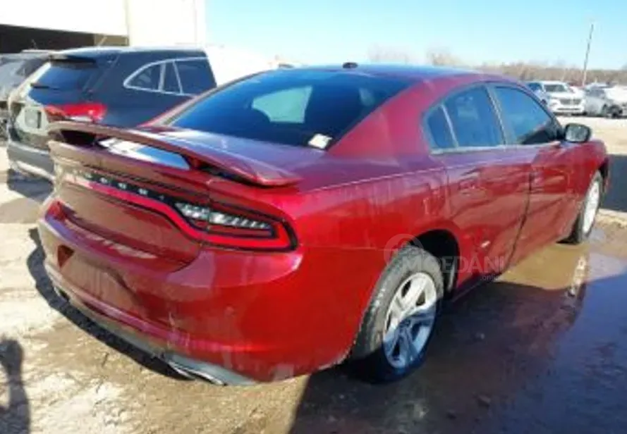 Dodge Charger 2020 Тбилиси - изображение 2