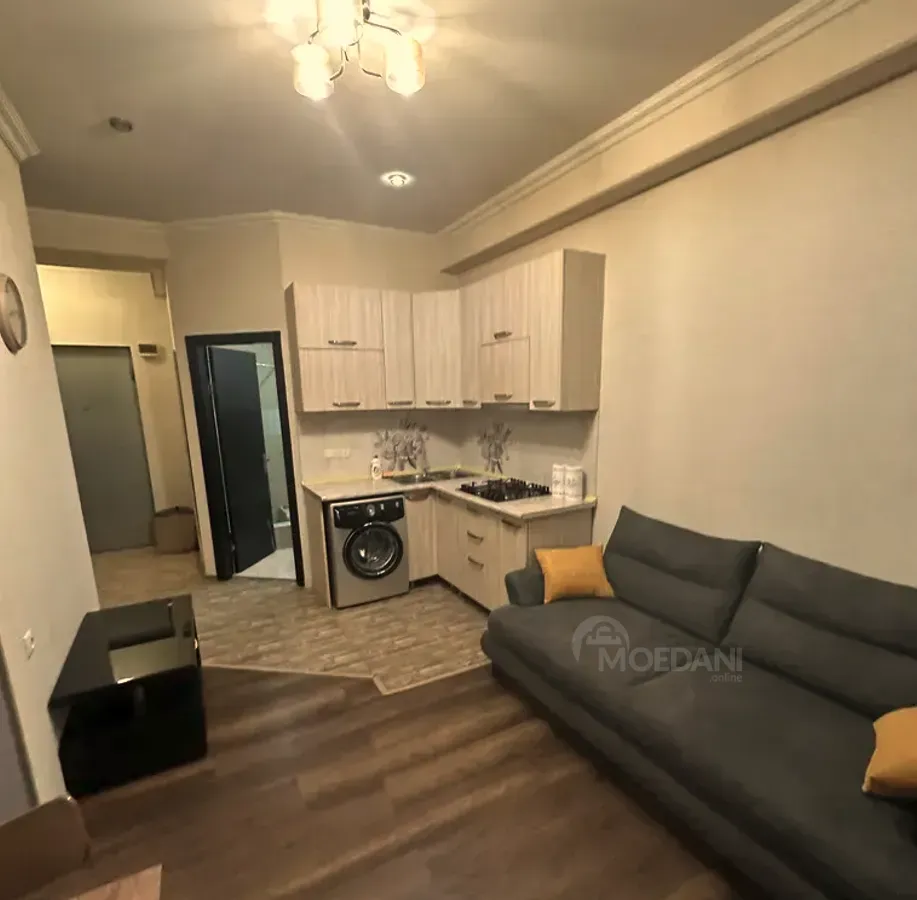 Apartments For Rent three-room 55м² 8/14 floor Tbilisi - photo 11