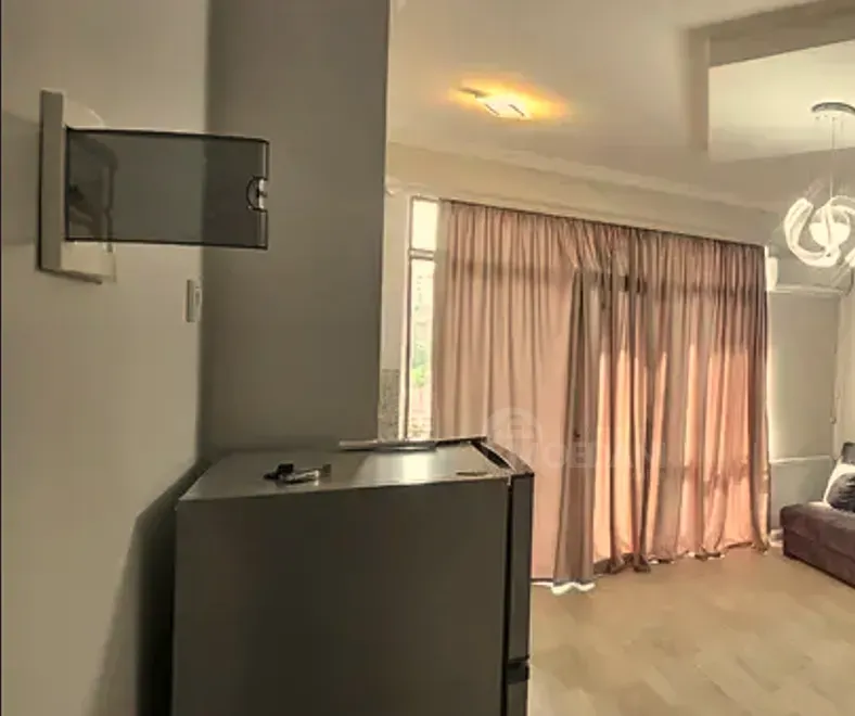 ქირავდება 2 ოთახიანი ბინა 50მ² 3/12 სართ თბილისი - photo 4