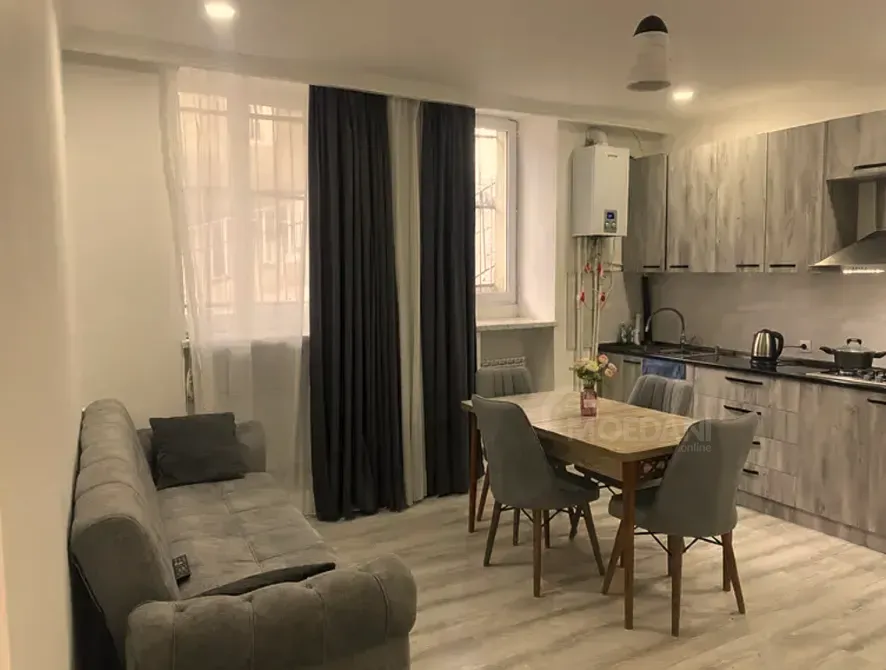 ქირავდება 2 ოთახიანი ბინა 48მ² 1/2 სართ თბილისი - photo 2