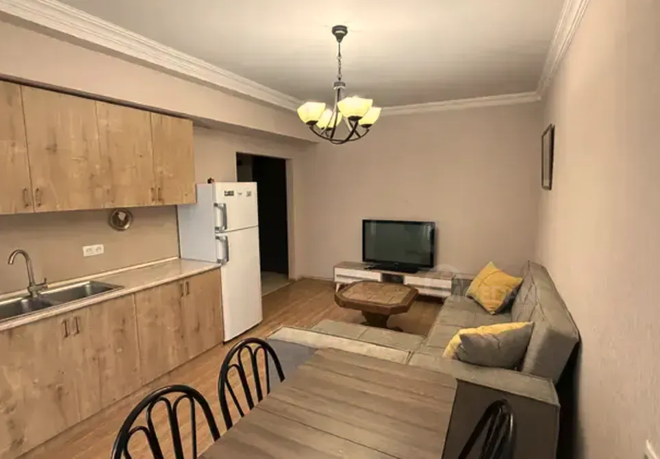 ქირავდება 2 ოთახიანი ბინა 46მ² 9/14 სართ თბილისი - photo 8