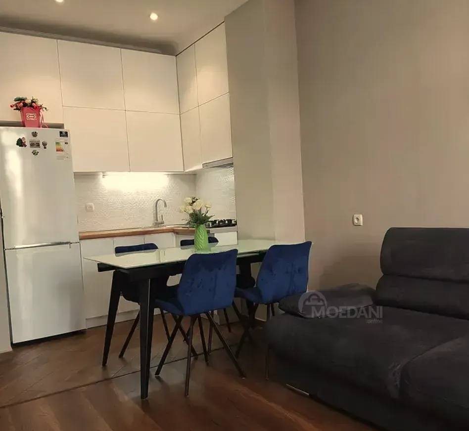 ქირავდება 2 ოთახიანი ბინა 43მ² 9/15 სართ თბილისი - photo 9