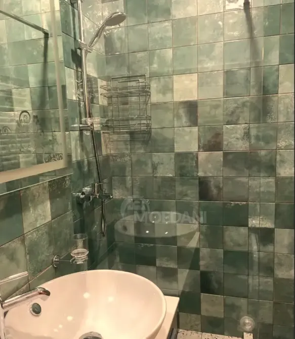 ქირავდება 2 ოთახიანი ბინა 55მ² 9/11 სართ თბილისი - photo 8