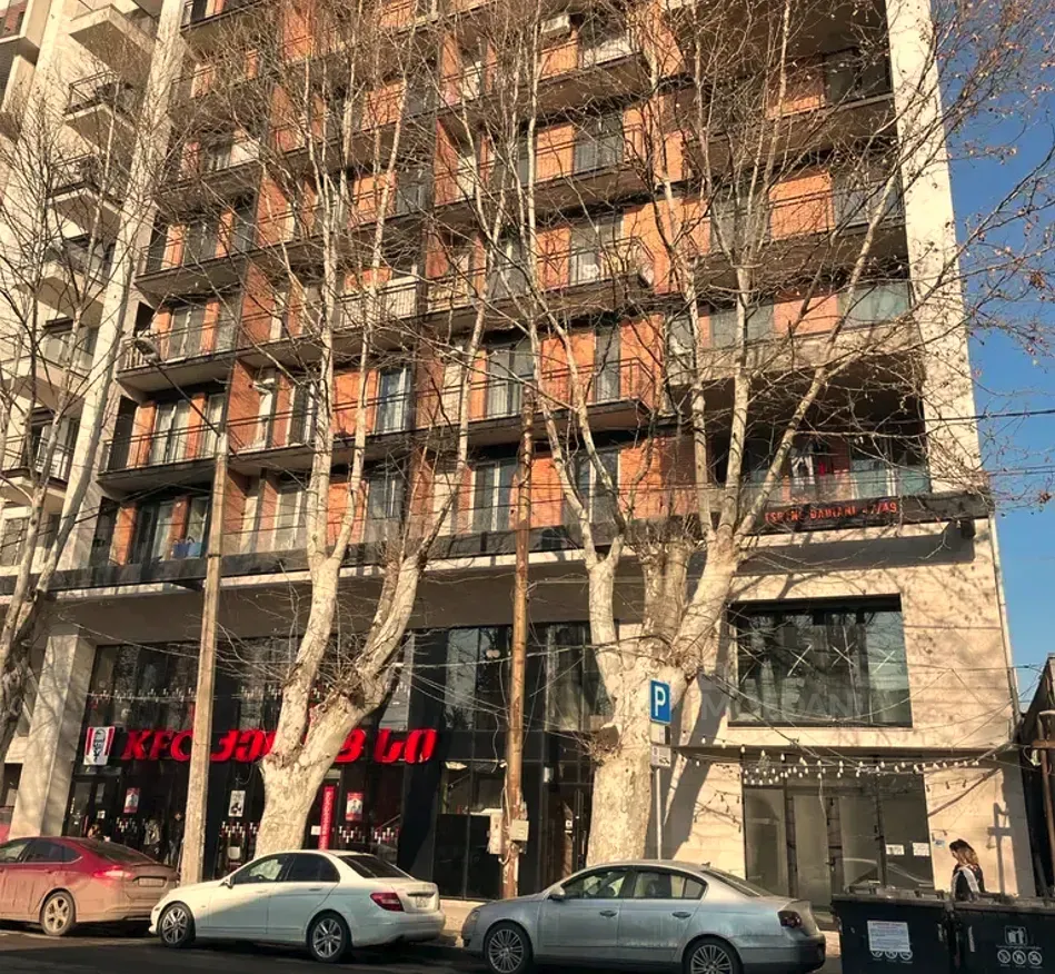 ქირავდება 2 ოთახიანი ბინა 55მ² 9/11 სართ თბილისი - photo 10