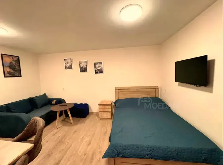 ქირავდება 1 ოთახიანი ბინა 25მ² 1/1 სართ თბილისი - photo 2