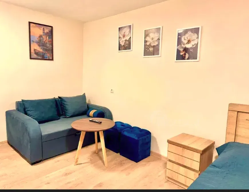 ქირავდება 1 ოთახიანი ბინა 25მ² 1/1 სართ თბილისი - photo 1