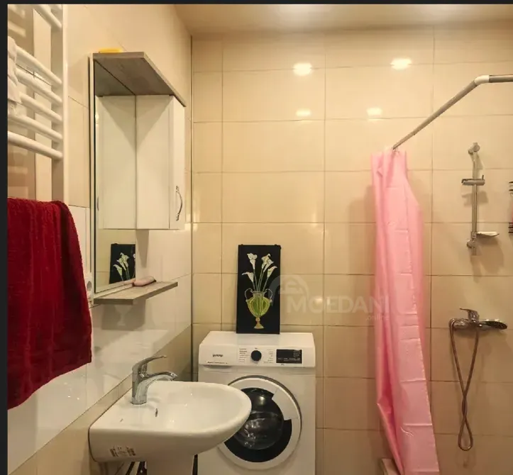 Apartments For Rent three-room 70м² 1/18 floor Tbilisi - photo 10