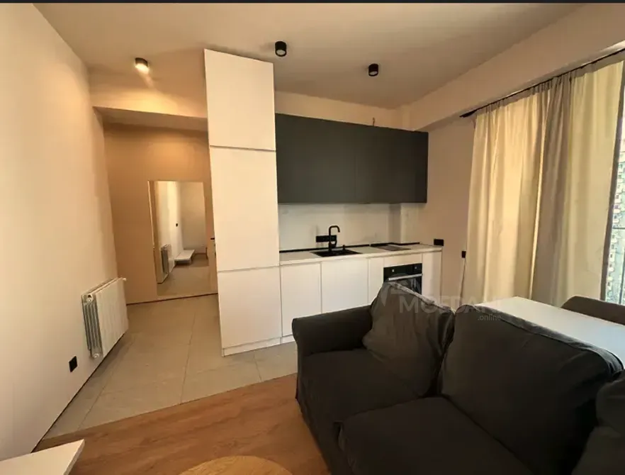 Apartments For Rent two-room 42м² 13/18 floor Tbilisi - photo 10