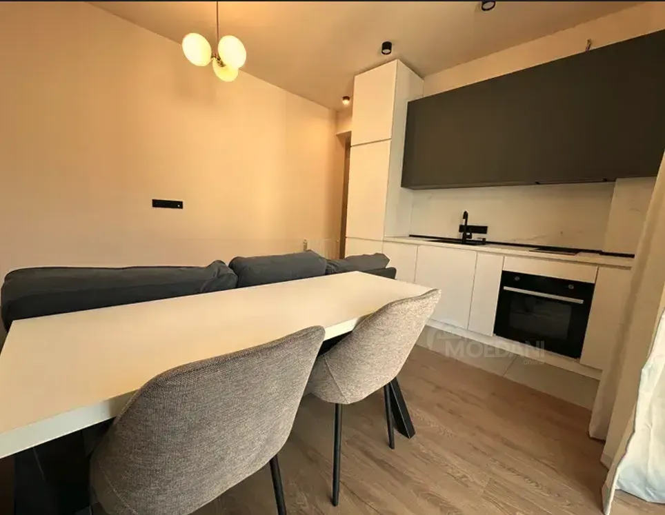 Apartments For Rent two-room 42м² 13/18 floor Tbilisi - photo 4