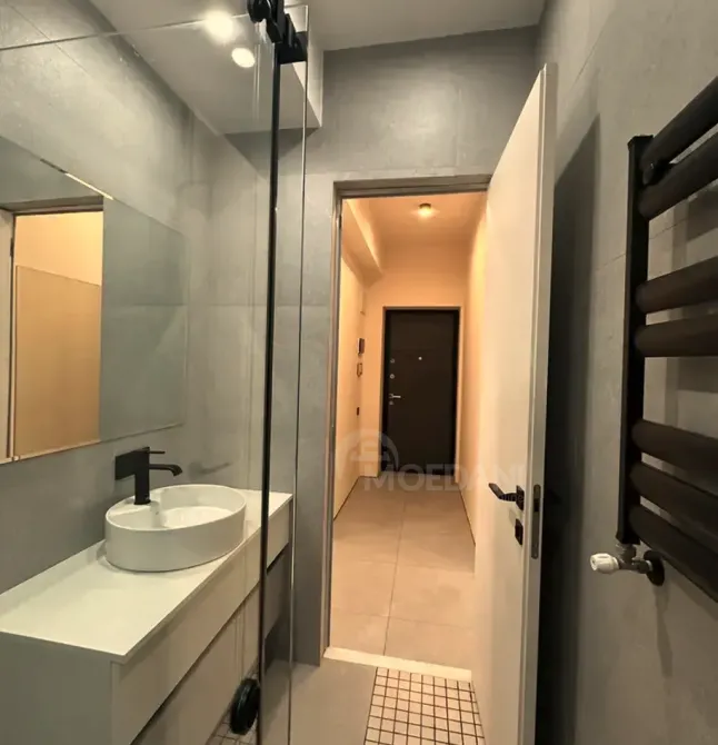 Apartments For Rent two-room 42м² 13/18 floor Tbilisi - photo 7