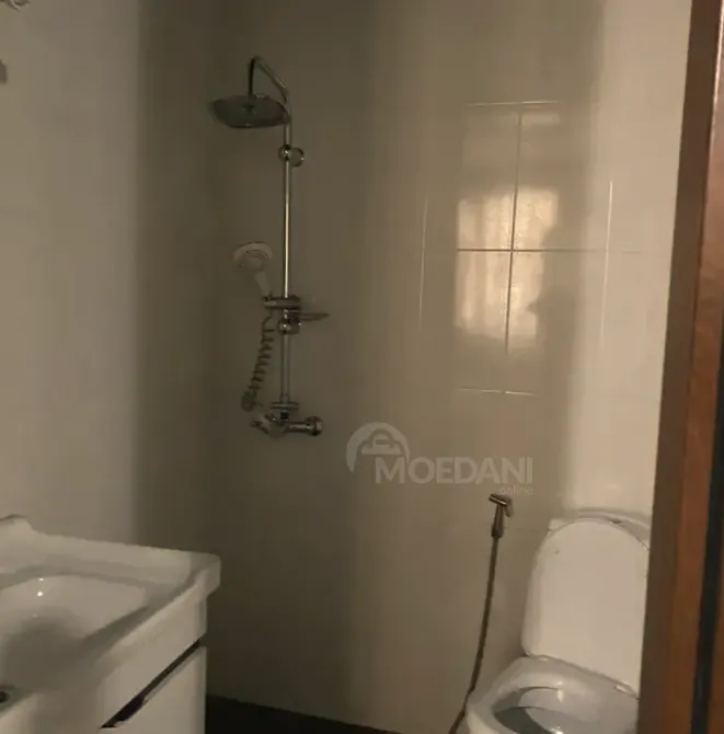 Apartments For Rent three-room 130м² 3/12 floor Tbilisi - photo 6