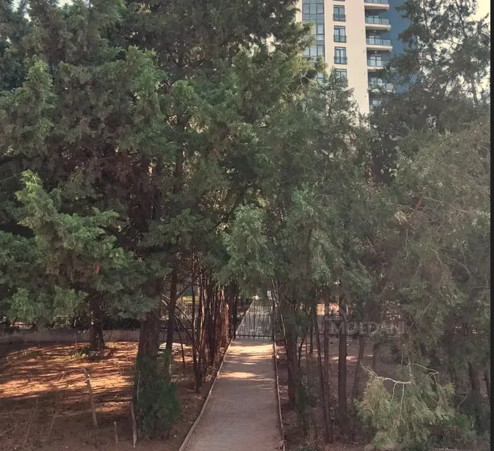 Сдам 2-комн. квартиру 60м² 11/22 эт. Тбилиси - изображение 11