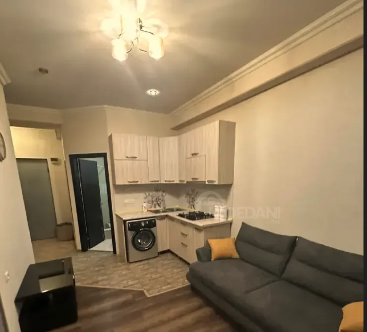 Apartments For Rent three-room 55м² 8/14 floor Tbilisi - photo 5