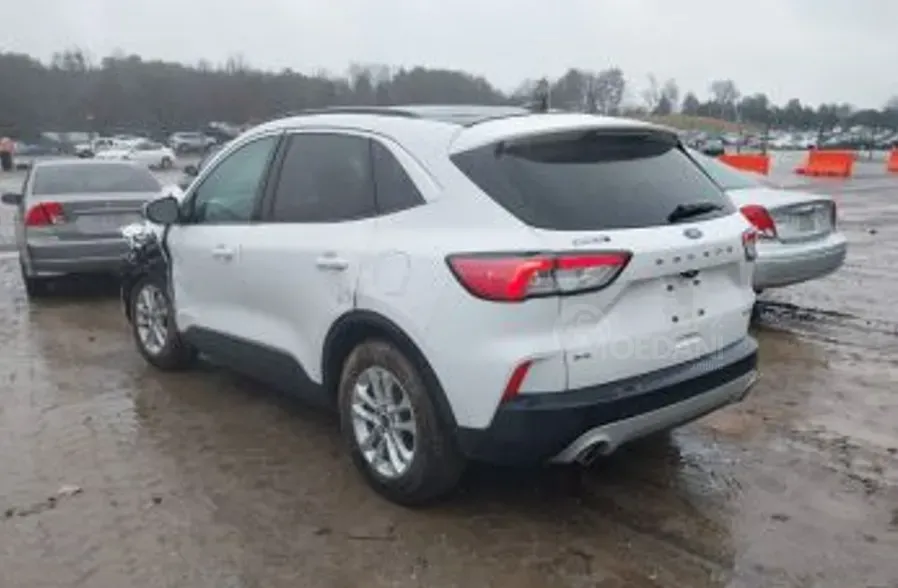 Ford Escape 1.5L 2020 თბილისი - photo 3