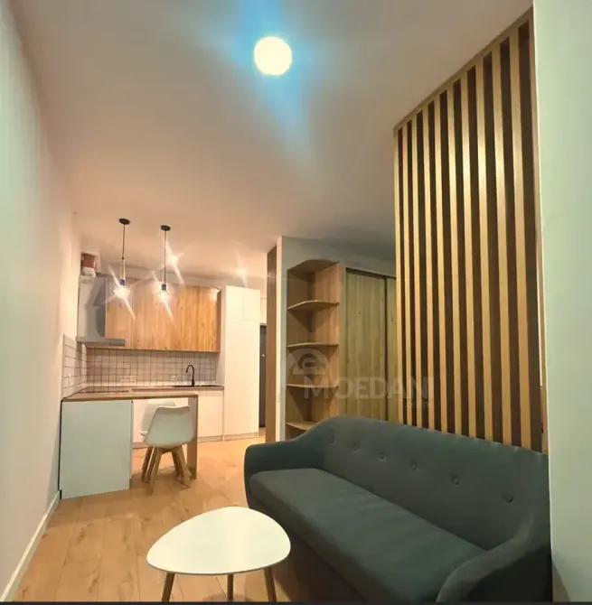 ქირავდება 1 ოთახიანი ბინა 39.3მ² 15/16 სართ თბილისი - photo 11