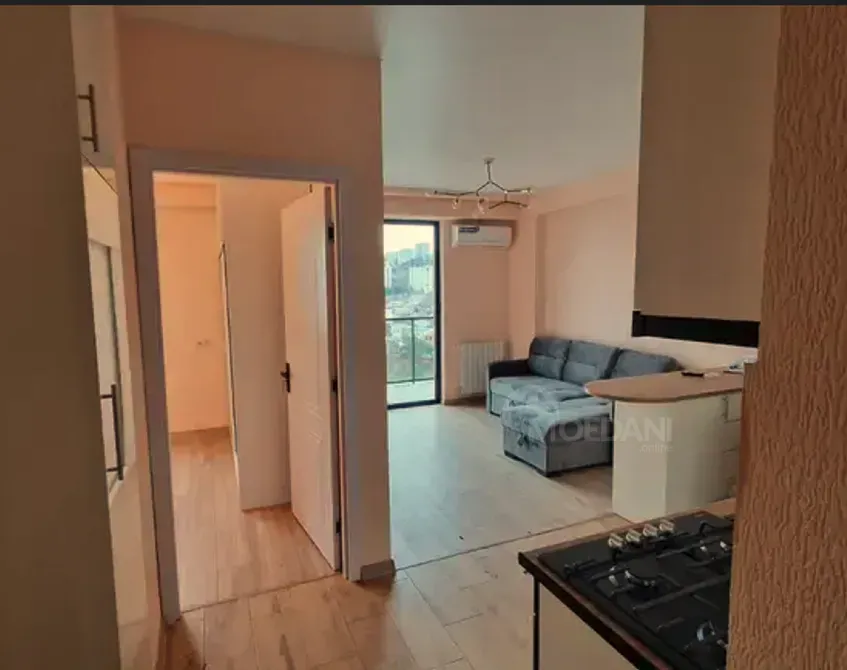 Сдам 2-комн. квартиру 50м² 12/13 эт. Тбилиси - изображение 4