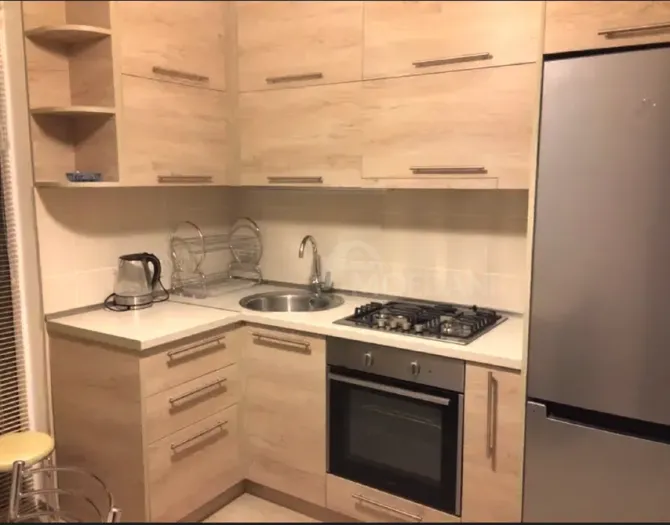 Apartments For Rent two-room 55м² 14/18 floor Tbilisi - photo 4
