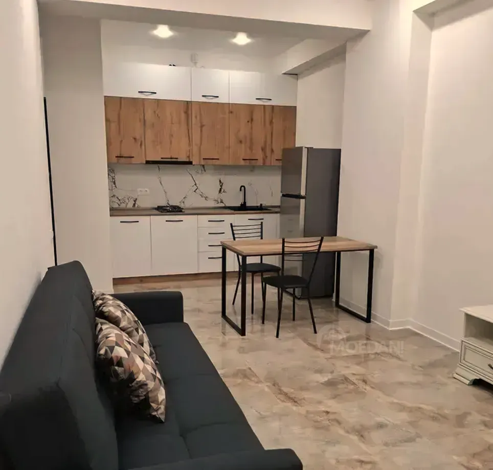 ქირავდება 2 ოთახიანი ბინა 47მ² 1/12 სართ თბილისი - photo 2