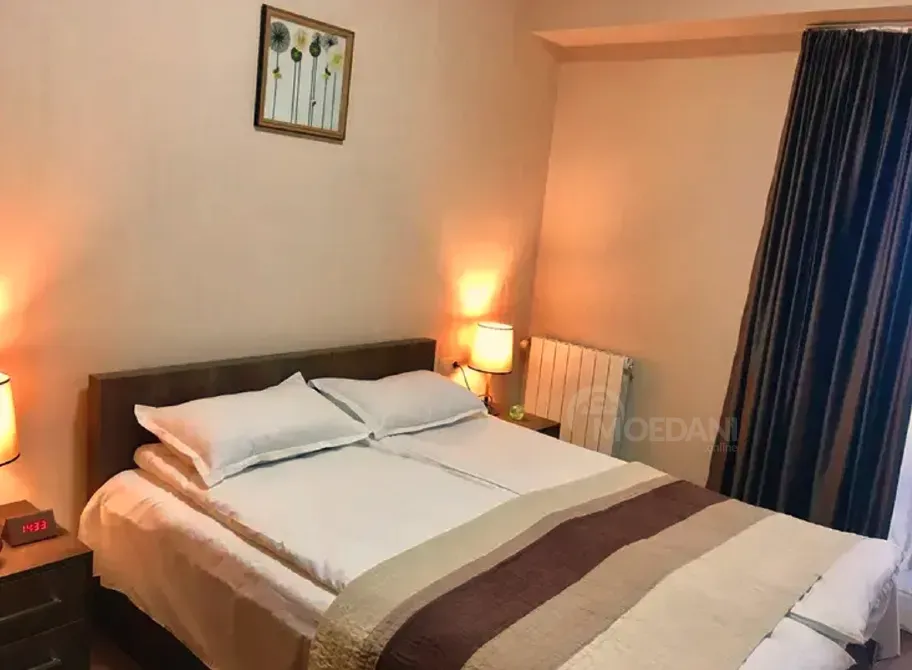 ქირავდება 2 ოთახიანი ბინა 60მ² 8/17 სართ თბილისი - photo 2