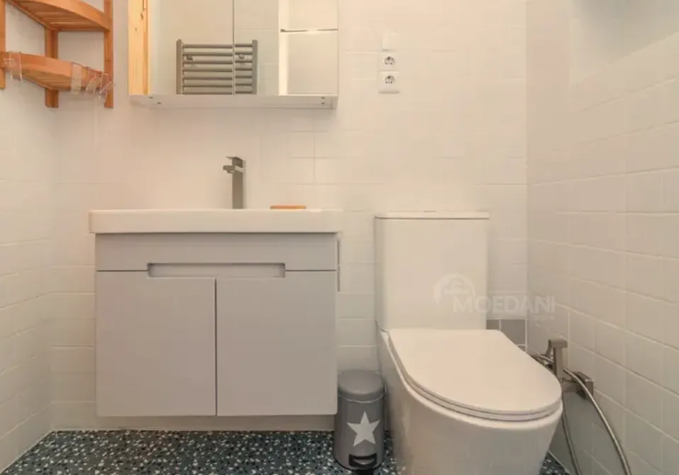 Apartments For Rent one-room 50м² 1/2 floor Tbilisi - photo 3