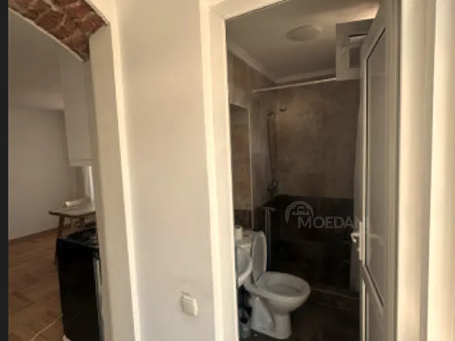 ქირავდება 1 ოთახიანი ბინა 45მ² 2/2 სართ თბილისი - photo 8