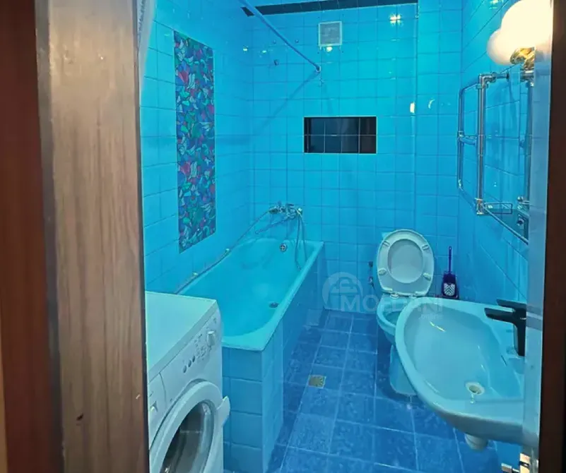 ქირავდება 2 ოთახიანი ბინა 75მ² 3/5 სართ თბილისი - photo 12