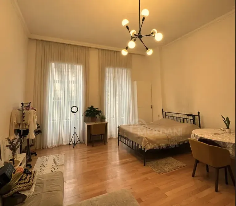 ქირავდება 1 ოთახიანი ბინა 45მ² 2/2 სართ თბილისი - photo 5