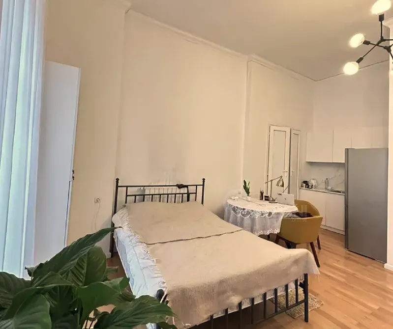 ქირავდება 1 ოთახიანი ბინა 45მ² 2/2 სართ თბილისი - photo 3